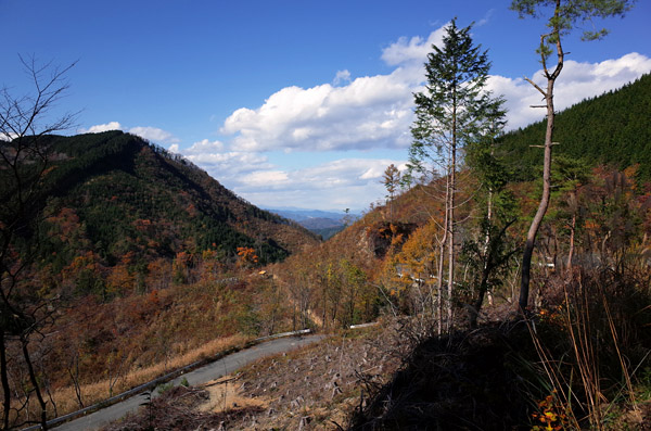 blog_pic12877.jpg