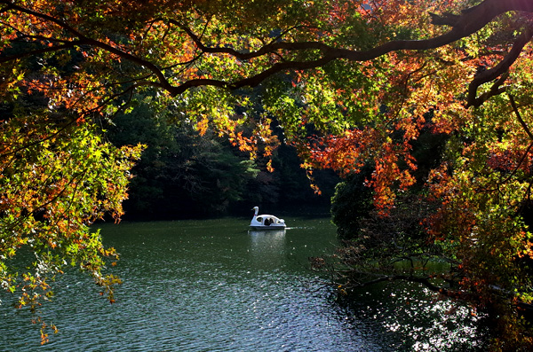 blog_pic12878.jpg