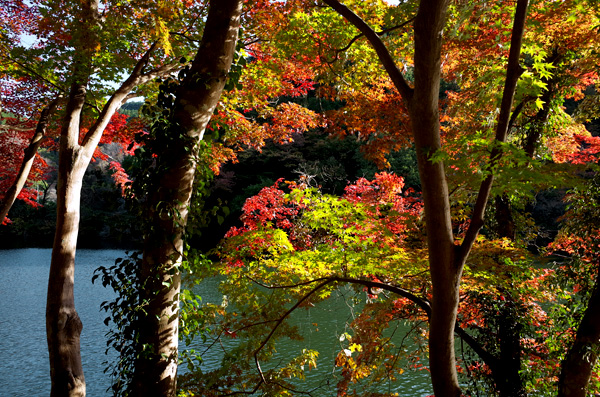 blog_pic12879.jpg