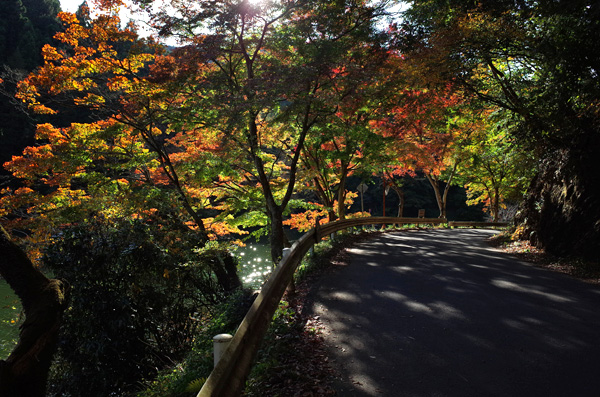 blog_pic12880.jpg