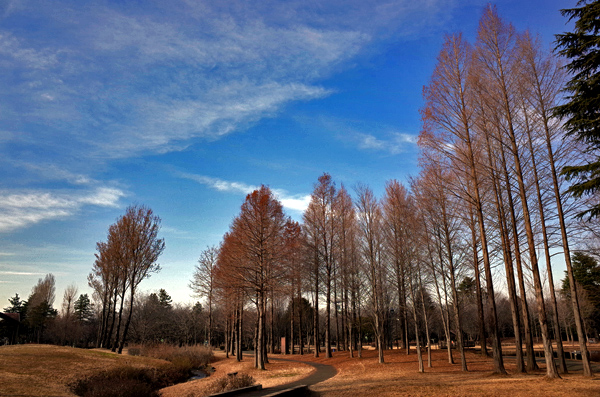 blog_pic12996.jpg