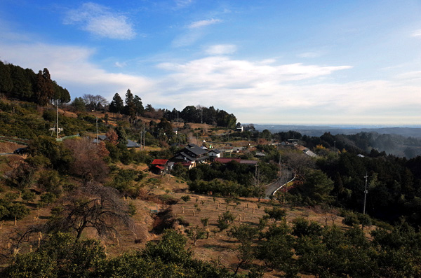 blog_pic13014.jpg