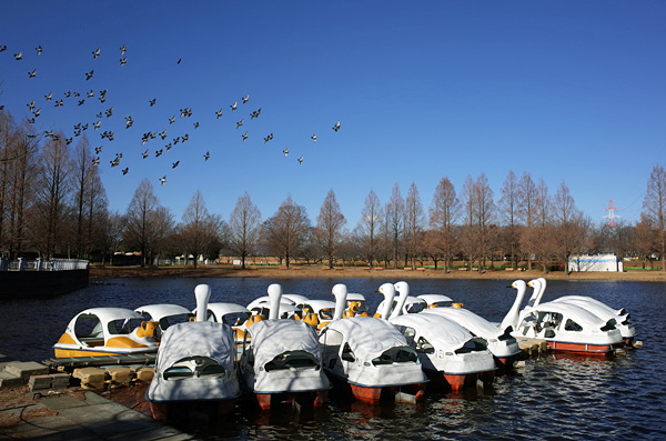 blog_pic13028.jpg