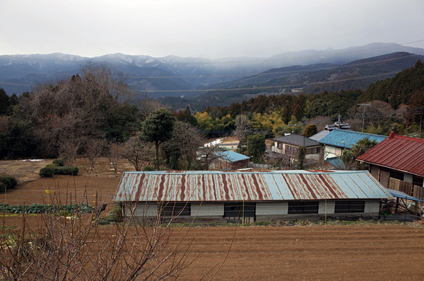 blog_pic13113.jpg