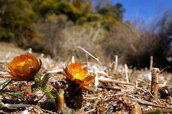 blog_pic13129.jpg