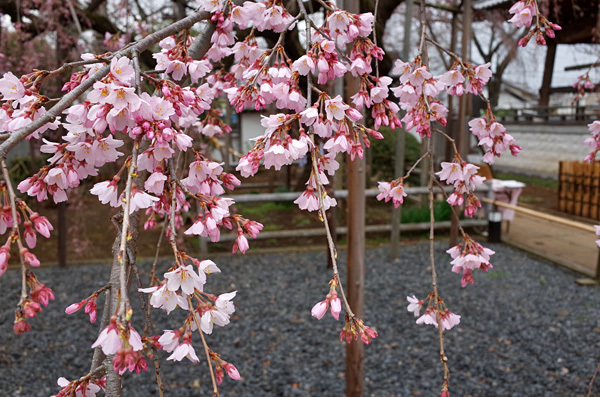 blog_pic13188.jpg