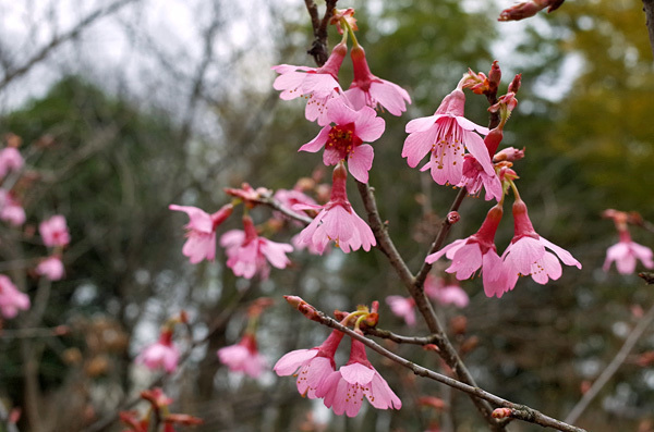 blog_pic13202.jpg