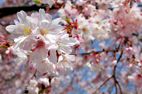 blog_pic13212.jpg