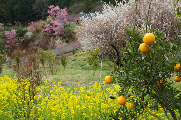 blog_pic13227.jpg