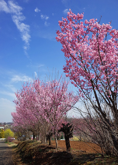 blog_pic13237.jpg