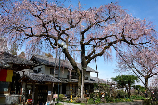 blog_pic13238.jpg