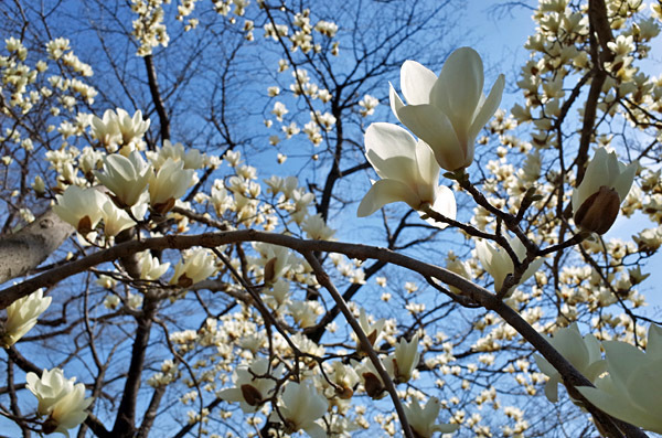blog_pic13239.jpg
