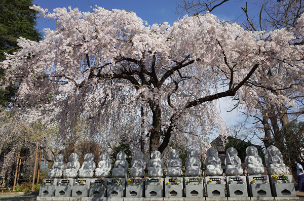 blog_pic13241.jpg
