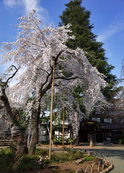 blog_pic13242.jpg