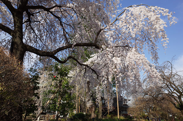 blog_pic13243.jpg