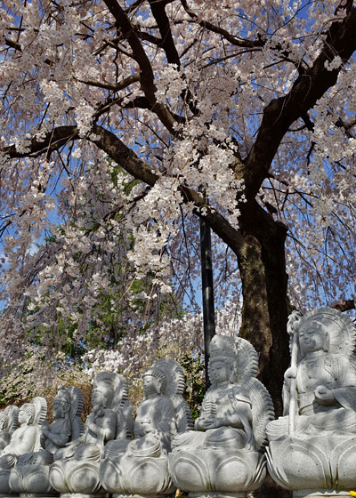 blog_pic13246.jpg