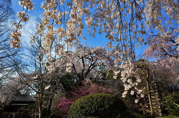 blog_pic13252.jpg