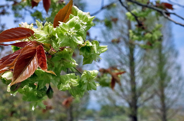 blog_pic13316.jpg