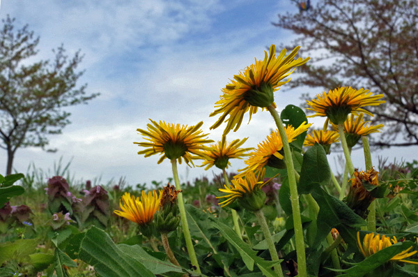blog_pic13317.jpg