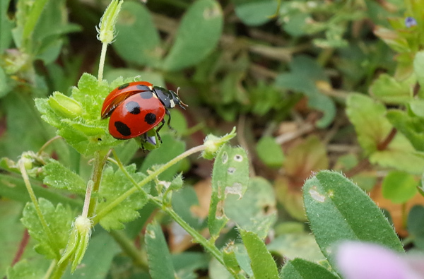 blog_pic13318.jpg