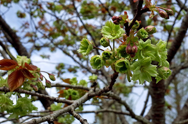 blog_pic13320.jpg