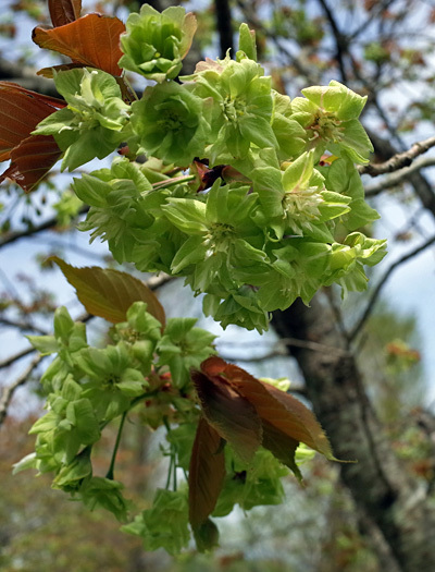 blog_pic13321.jpg