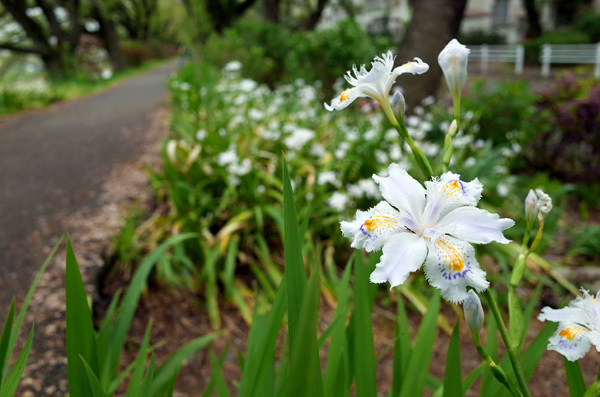 blog_pic13322.jpg