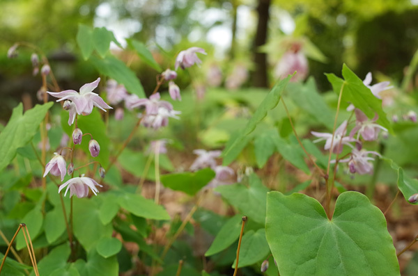 blog_pic13330.jpg