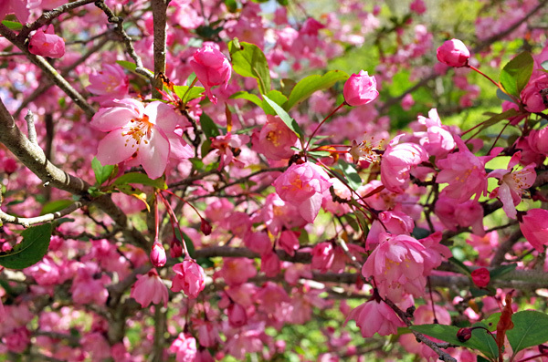 blog_pic13331.jpg
