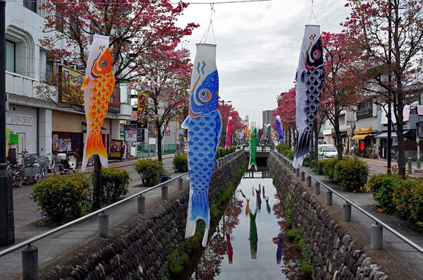 blog_pic13338.jpg
