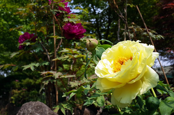 blog_pic13342.jpg