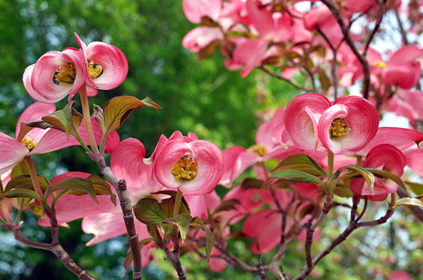 blog_pic13350.jpg
