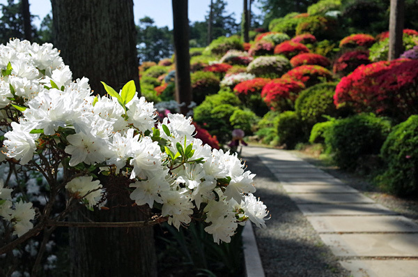 blog_pic13358.jpg