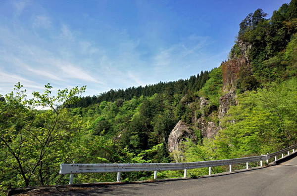 blog_pic13375.jpg
