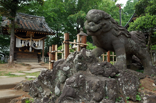 blog_pic13385.jpg