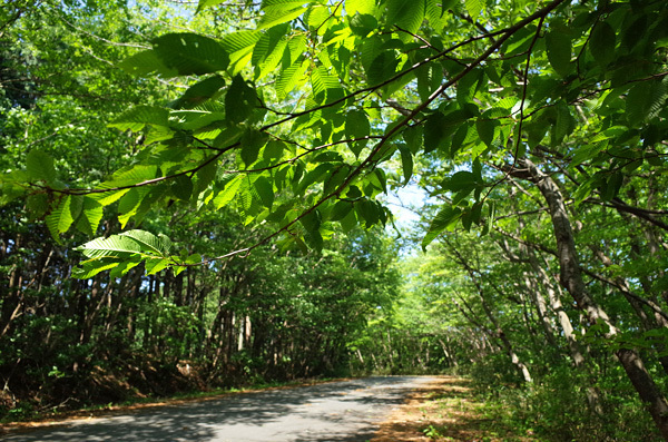 blog_pic13394.jpg