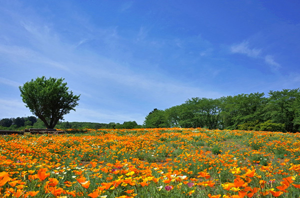 blog_pic13403.jpg