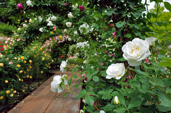 blog_pic13414.jpg