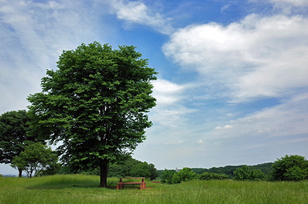 blog_pic13429.jpg