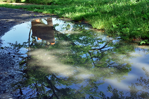 blog_pic13437.jpg