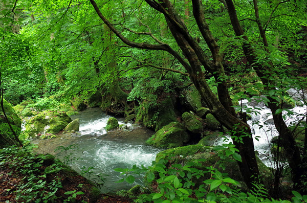 blog_pic13478.jpg