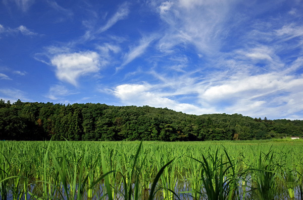 blog_pic13487.jpg