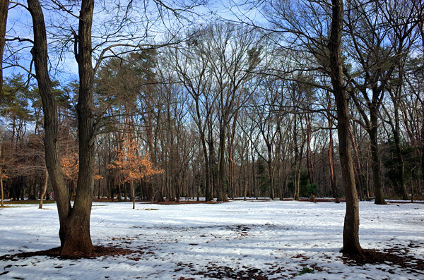 blog_pic13516.jpg