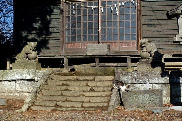blog_pic13540.jpg
