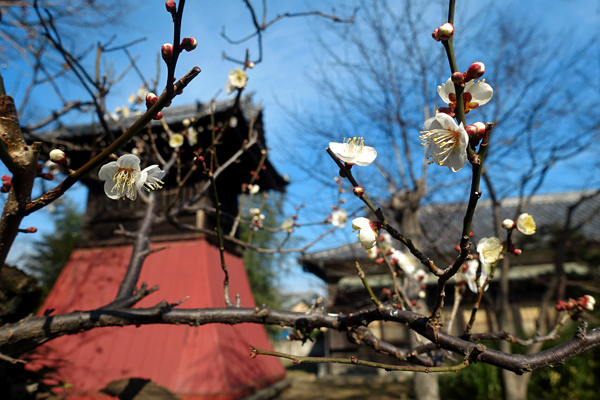 blog_pic13560.jpg
