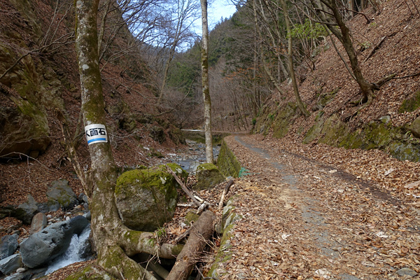 blog_pic13630.jpg