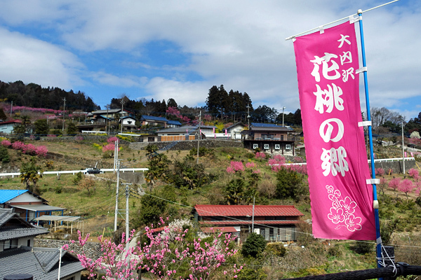 blog_pic136440.jpg