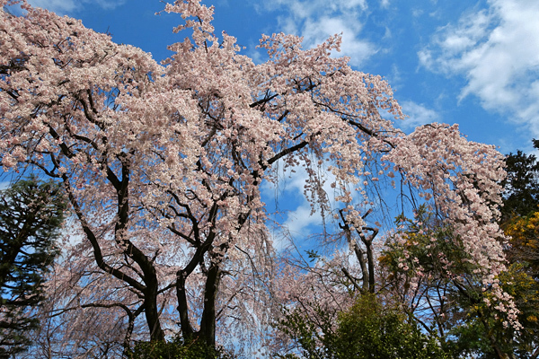 blog_pic136465.jpg