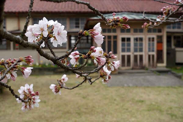 blog_pic136485.jpg