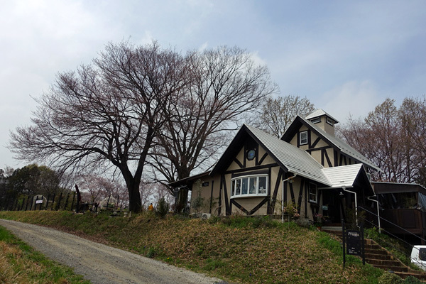blog_pic136498.jpg